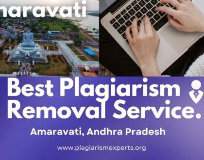 Best Plagiarism Removal Company in Amaravati