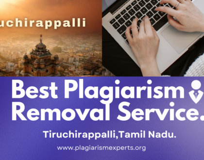 Best Plagiarism Removal Company in Tiruchirappalli
